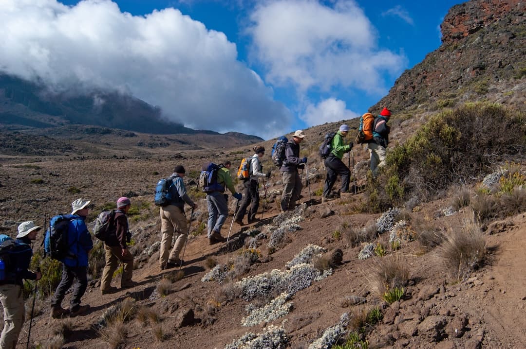 A line of hikers walking uphill on a sandy mountain slope with low shrubs.
