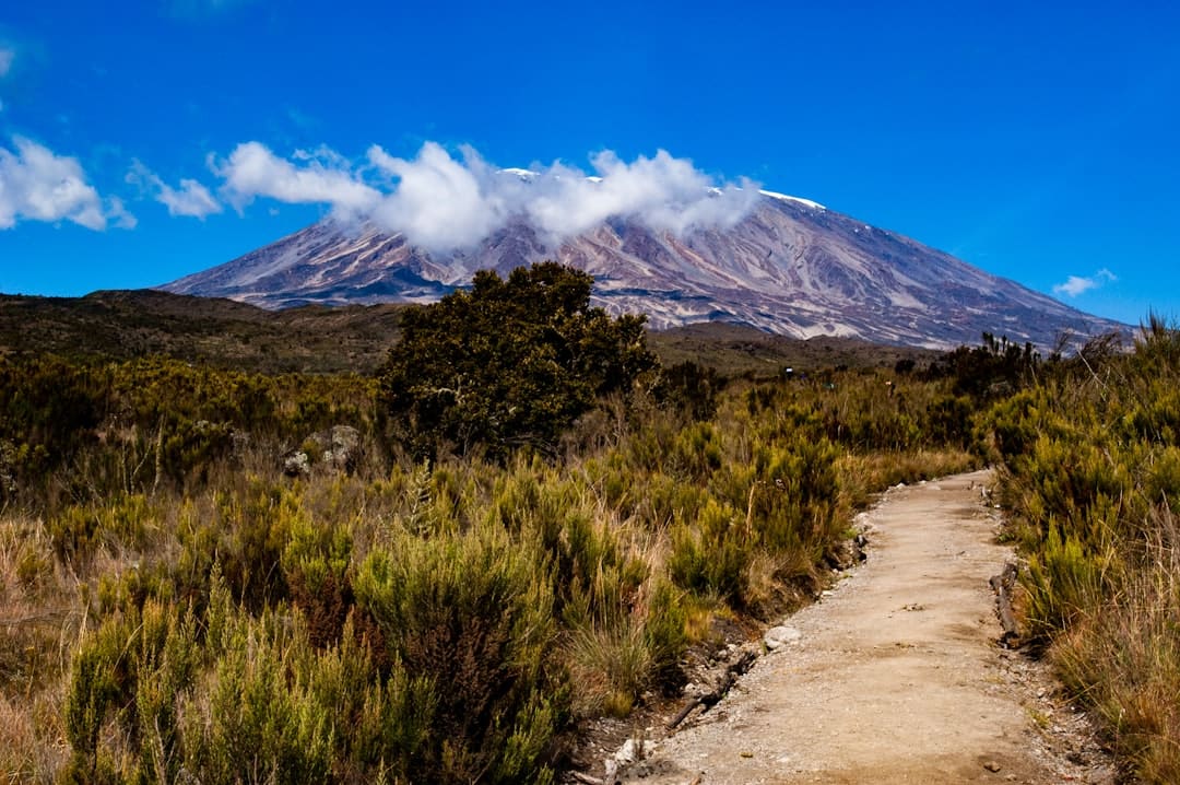 Dirt path through scrubland with Mount Kilimanjaro in the distance.